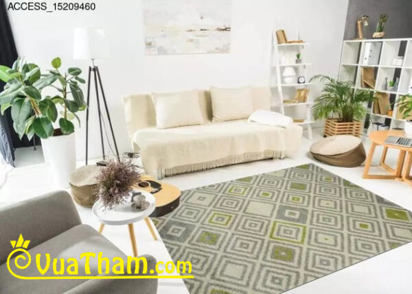 thảm nhập khẩu bỉ