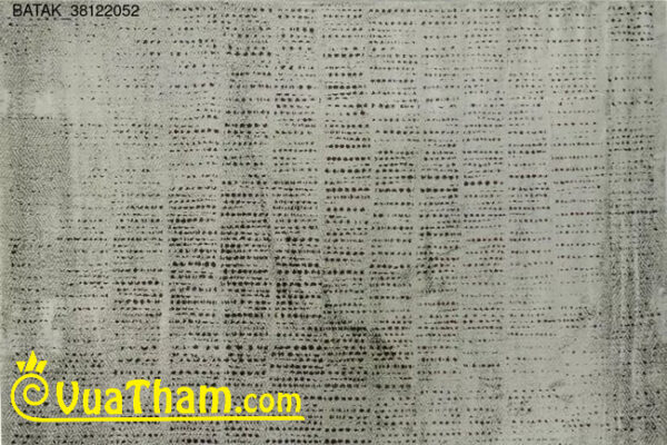 thảm sợi ngắn họa tiết bỉ