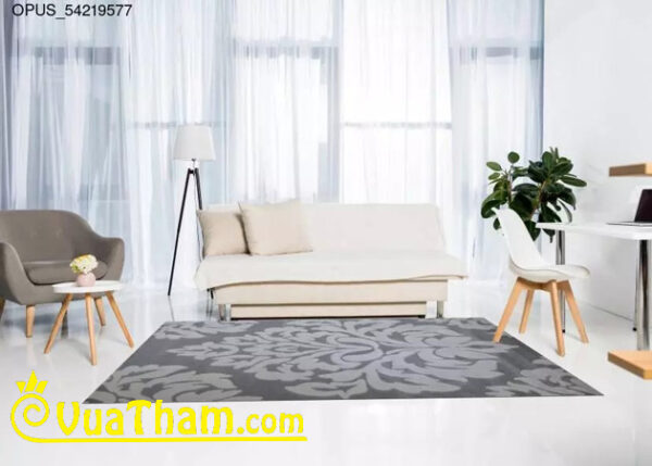thảm họa tiết phòng khách