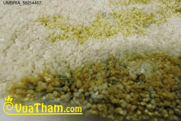 thảm phòng khách trang trí